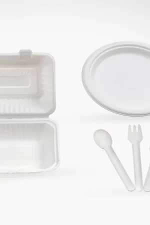 Disposable plates